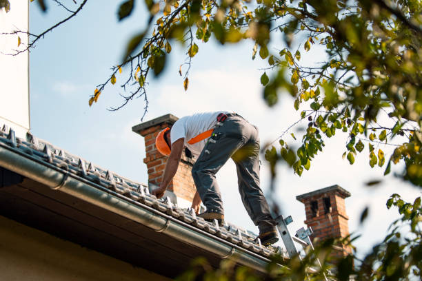 Roof Gutter Cleaning in Brookside, AL